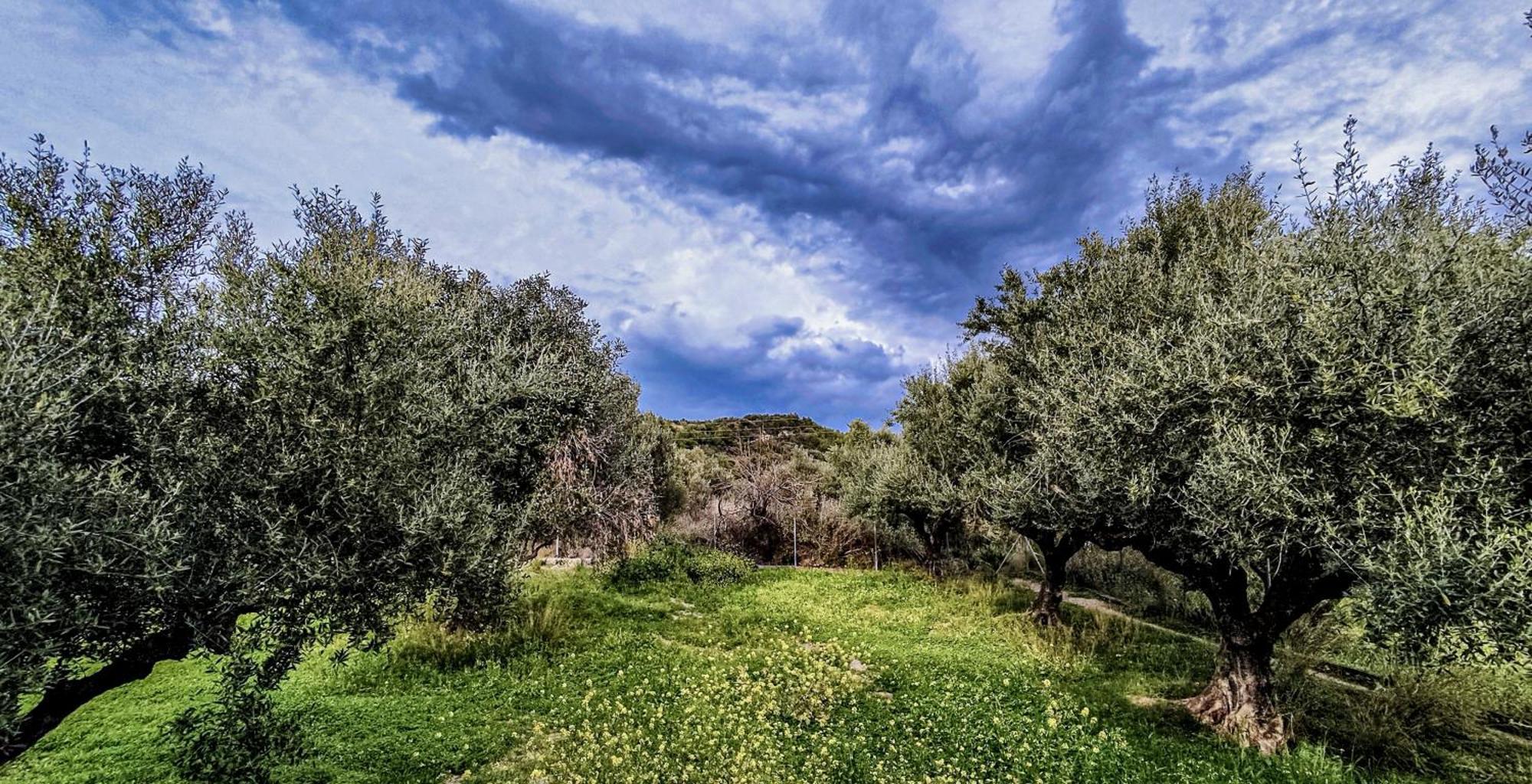 Your Spot West Peloponnese Shared Countryhouse Zacharo Exteriör bild