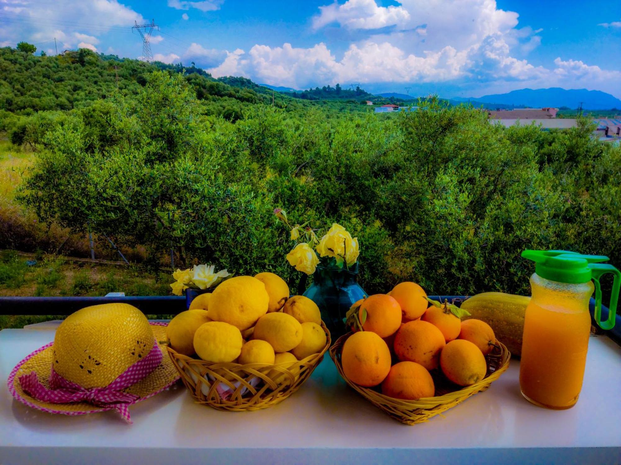 Your Spot West Peloponnese Shared Countryhouse Zacharo Exteriör bild