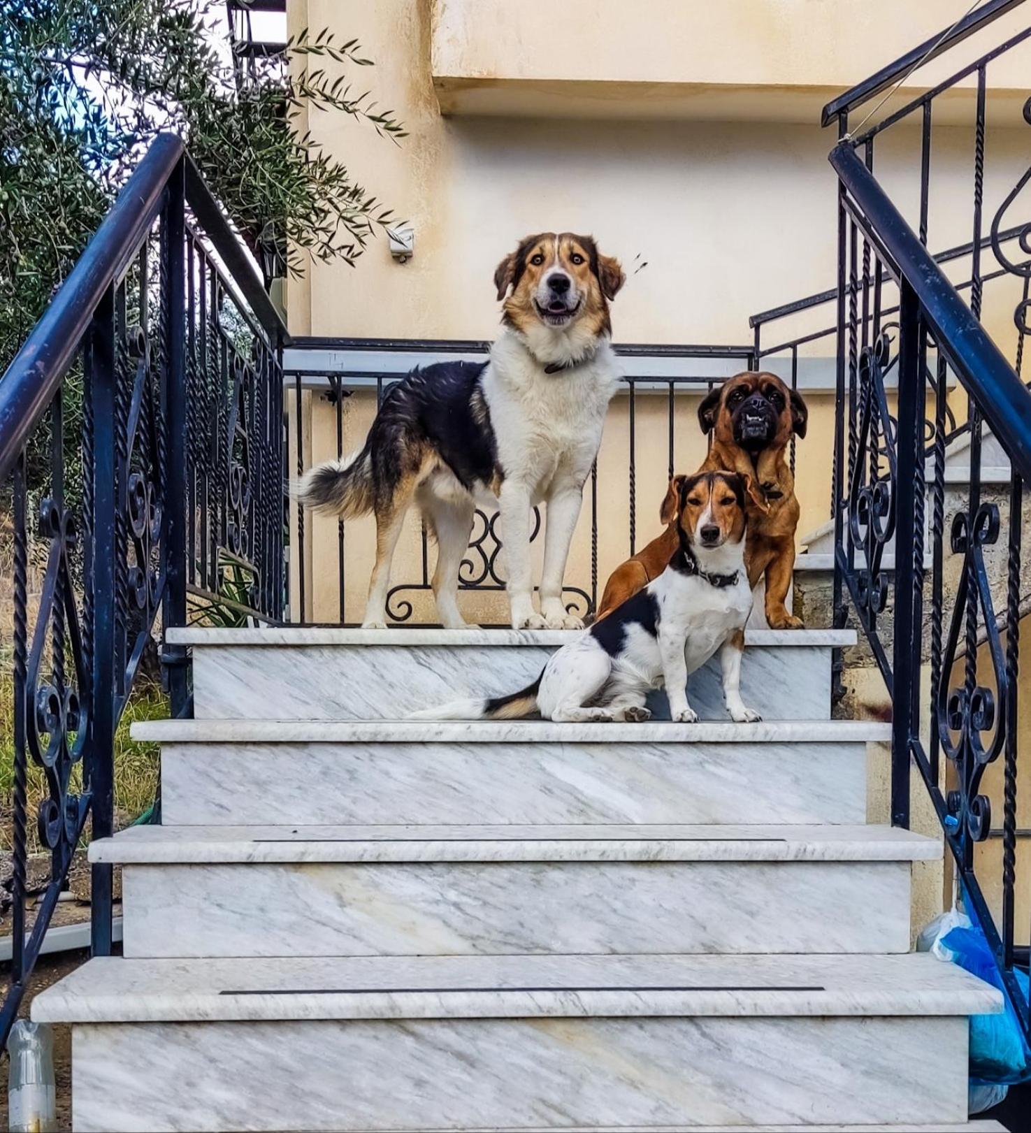 Your Spot West Peloponnese Shared Countryhouse Zacharo Exteriör bild
